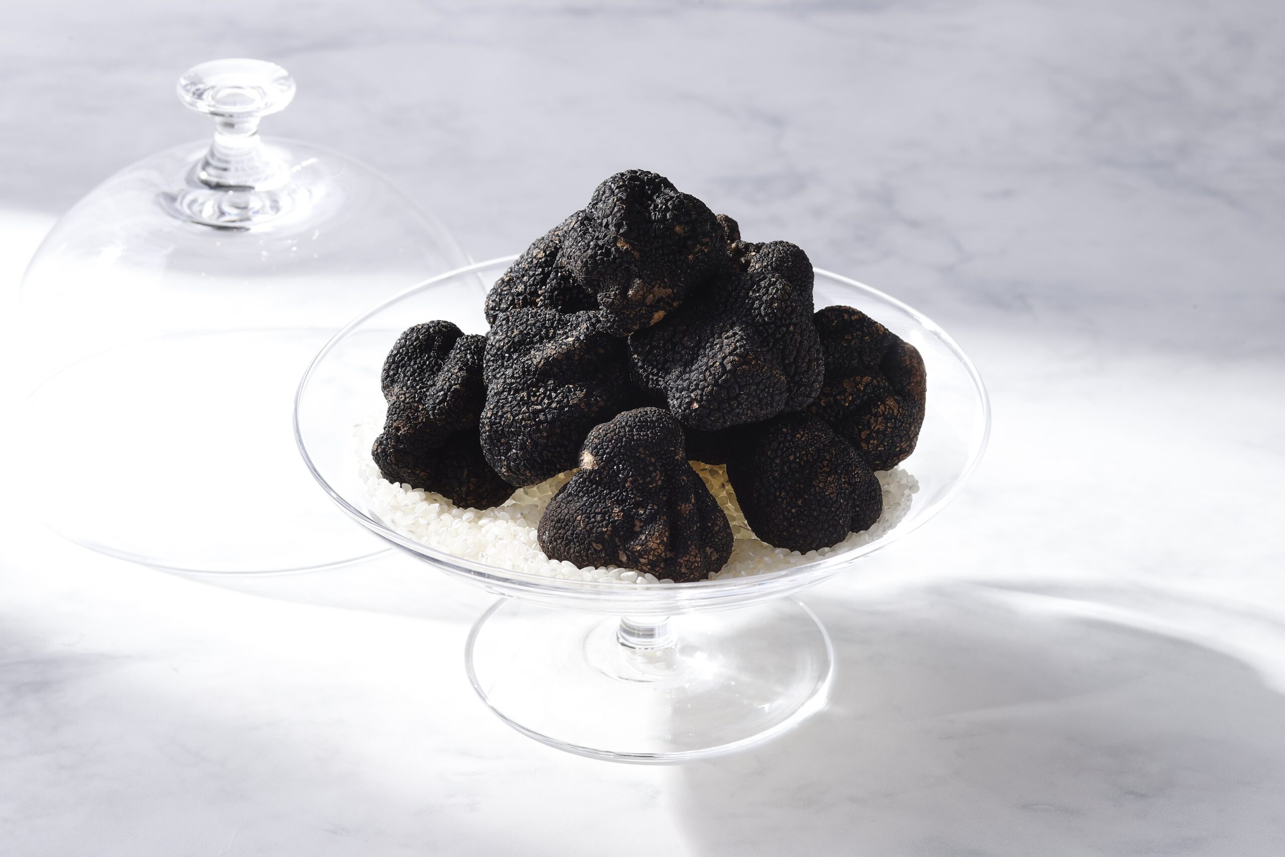 ～ 黒トリュフ堪能コース ～ Tartufo Nero